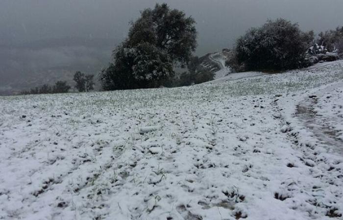 Ola de frío y nevadas en varias provincias del Reino