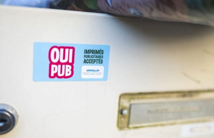 ¿Qué resultados obtuvo el experimento “Oui Pub”?