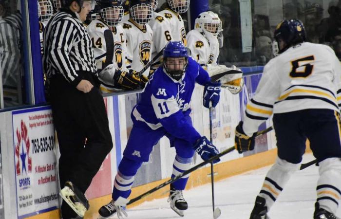 15 habitantes de Minnesota llegan a la clasificación intermedia de exploración central de la NHL