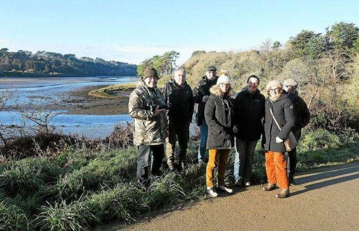 En Pont-Croix, la movilización contra el futuro parque de aventuras en las copas de los árboles cobra impulso