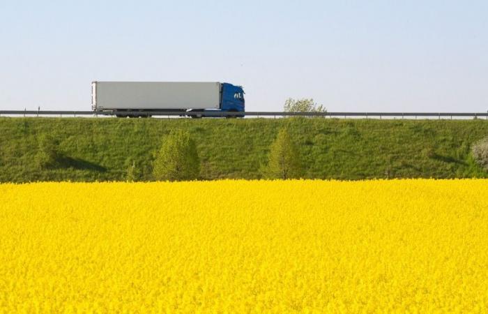 ¿Se sabe que este combustible B100 es mucho menos contaminante que el diésel?