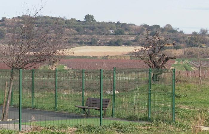 “¡No vamos a hacer feliz a la gente a pesar de ellos mismos!”, el departamento de Hérault entierra un proyecto de retención de agua en invierno para los viticultores