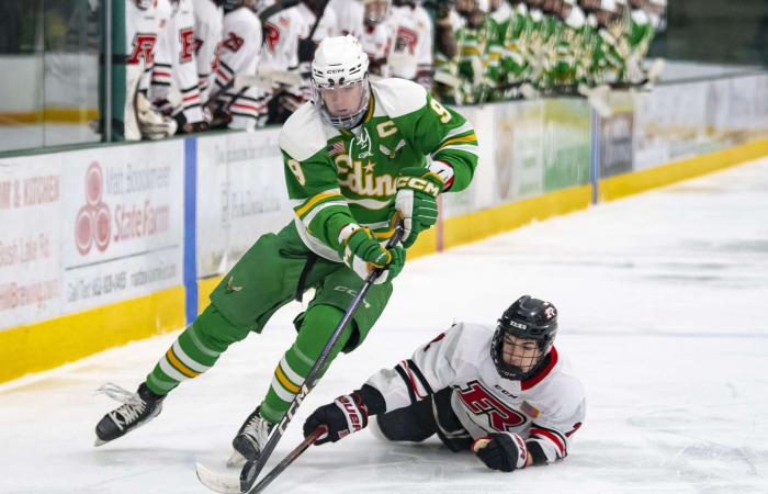 15 habitantes de Minnesota llegan a la clasificación intermedia de exploración central de la NHL