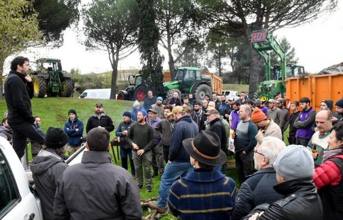 Compañero de fórmula de la FDSEA y de la JA, el Sindicato de Criadores de Aude quiere “llevar las voces de los criadores” a la Cámara de Agricultura