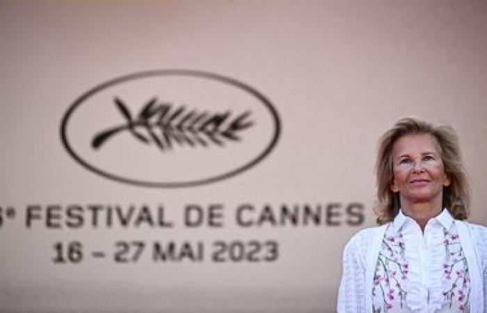 Festival de Cannes: Iris Knobloch reelegida presidenta