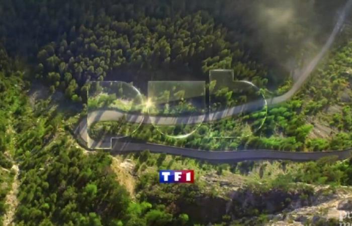 TF1 forma una nueva alianza en TV conectada