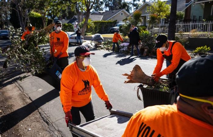 Incendios en Los Ángeles | Voluntarios limpian calles llenas de escombros carbonizados