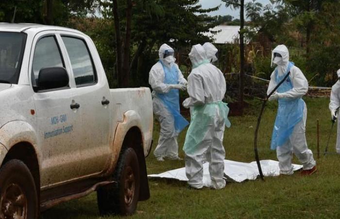 Un presunto brote del virus de Marburgo mata a ocho personas en la región de Kagera (OMS)