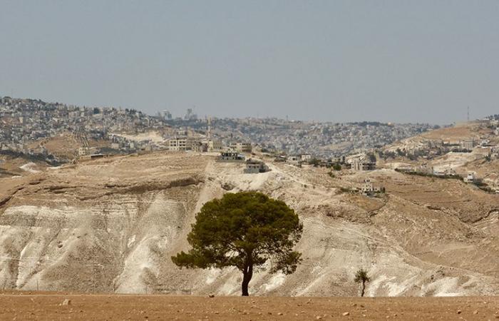 Apoyar un centro palestino – El Correo