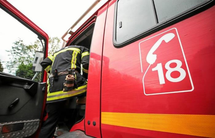 Un delfín encontrado muerto en la playa de Lizeau en Saint-Pierre-Quiberon