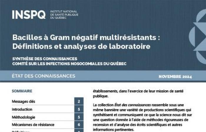 Bacilos Gram negativos multirresistentes: definiciones y análisis de laboratorio