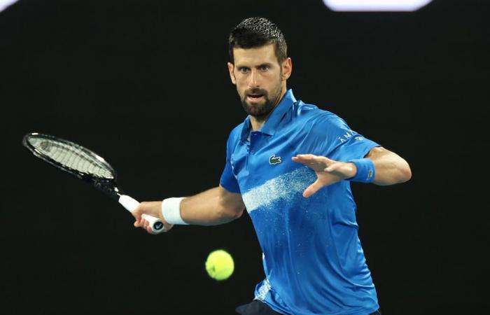 Novak Djokovic se estremeció después de la ‘locura’ a mitad del partido mientras Carlos Alcaraz hace una declaración