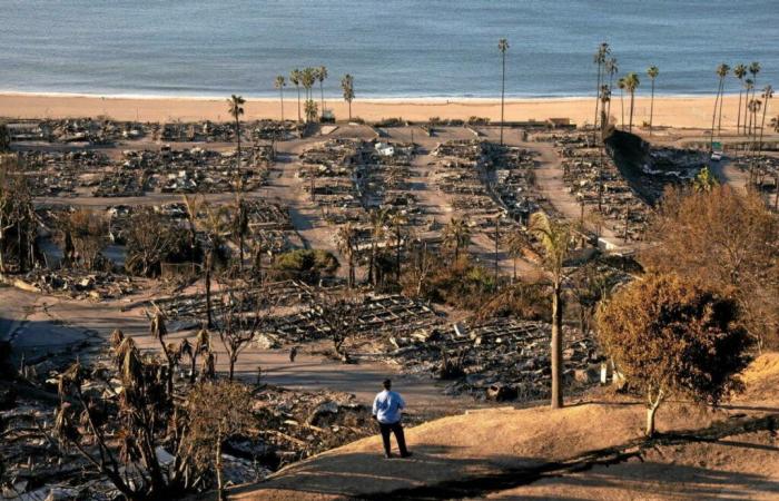 La novela que profetizó los incendios de Los Ángeles