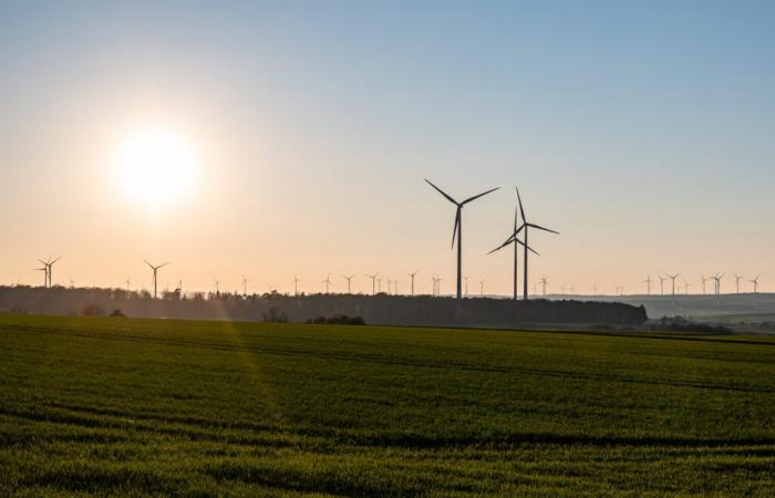 Proyectos eólicos en Lotbinière | El RMC quiere limitar los impactos en el sector agrícola