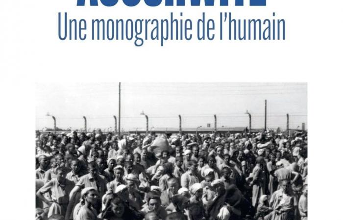 “Auschwitz. Una monografía de lo humano”, “Del silencio y el oro”, “Me acerco al final”…