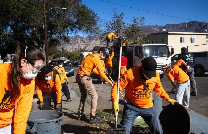 Incendios en Los Ángeles | Voluntarios limpian calles llenas de escombros carbonizados