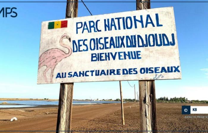 El Parque Djoudj, Santuario Maestro de Aves Migratorias