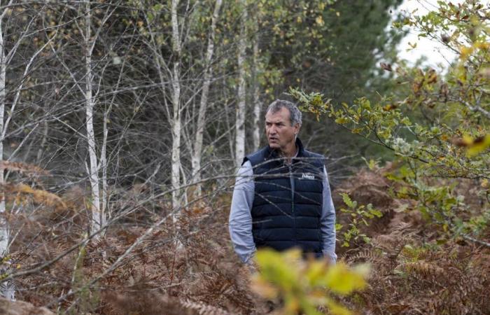 “Para nosotros era vital”, declara el director general de Alliance Forêts Bois