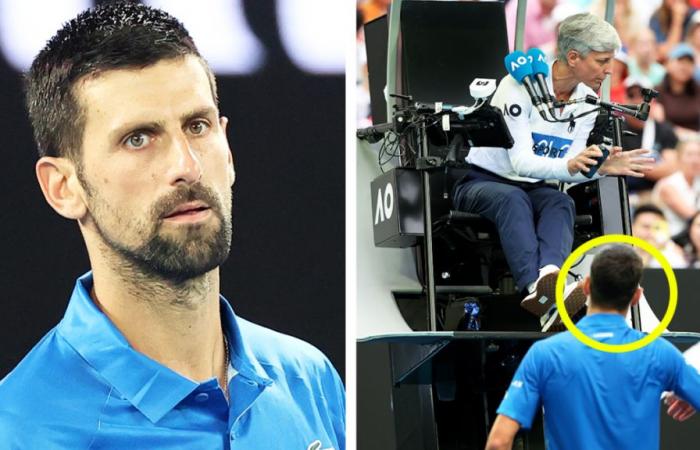 Novak Djokovic se estremeció después de la ‘locura’ a mitad del partido mientras Carlos Alcaraz hace una declaración