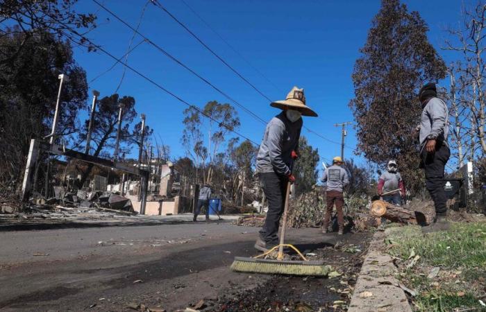 Incendios en Los Ángeles: se esperan nuevas ráfagas de viento fuertes