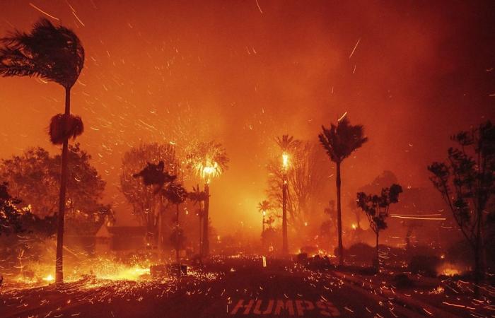 No hay tregua en los incendios en Los Ángeles, donde sopla el viento