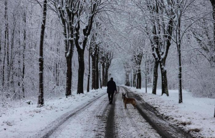 El hielo negro mata a una persona en Alsacia y perturba el tráfico en el Este