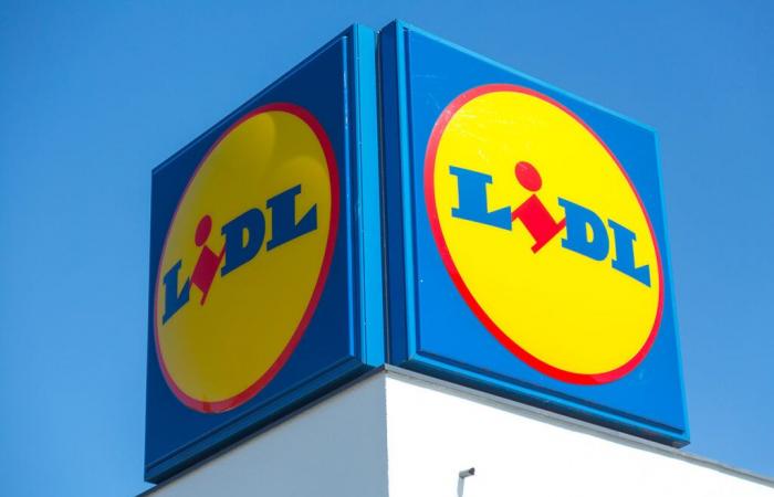 Lidl abre 10 nuevas tiendas en toda Francia, aquí está la lista