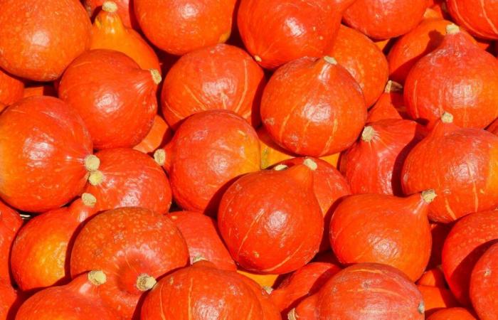 Leclerc retira del mercado las calabazas ecológicas porque contienen demasiados pesticidas