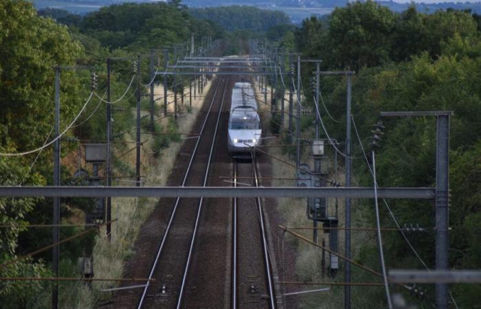 Muere una mujer de 34 años tras ser atropellada por un tren en un paso a nivel