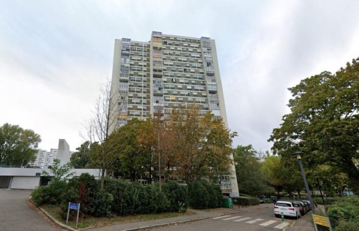 Alto Rin. Las torres Plein ciel amenazadas de destrucción finalmente salvadas por los tribunales de Mulhouse