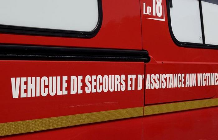 Los bomberos del Gard rescatan a un trabajador herido en una tuneladora en Nimes