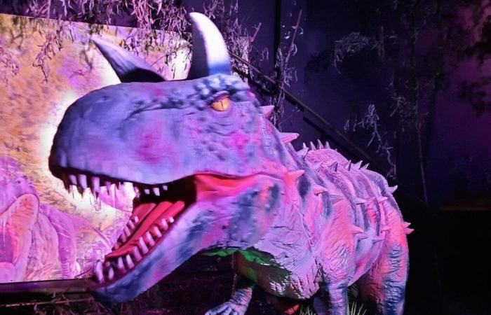 Una #divertida exhibición de dinosaurios se instalará en el Salón Campestre