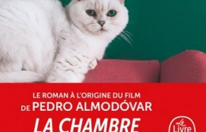 “¿Cuál es tu tormento? » Este es el libro detrás de la nueva película de Almodóvar