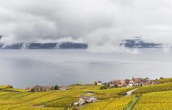 EPFL lanza un proyecto participativo para evaluar la salud del lago Lemán – rts.ch