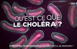 Síntomas, transmisión: ¿se puede propagar el cólera? – 8 p. m. noticias