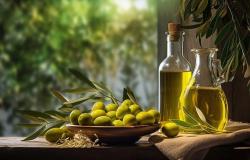 El aceite de oliva argelino gana la medalla de oro en Suiza