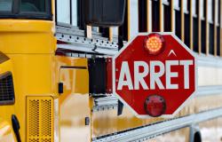 Meseta-Mont-Royal | Una niña que caminaba hacia el autobús escolar fue atropellada por un ciclista