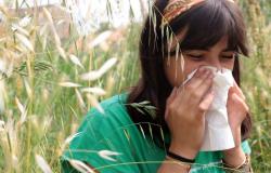 Salud: alerta roja por alergias al pasto para este fin de semana de la Ascensión