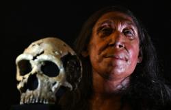 La reconstrucción del rostro de una mujer neandertal de 75.000 años la hace parecer bastante amigable, pero hay un problema