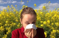 Alerta roja: ¡cuidado con el polen en Mayenne!