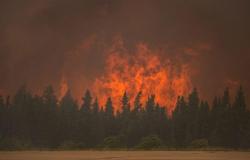 Incendios forestales: BC ofrece herramientas para que los residentes estén mejor preparados | Incendios forestales en Canadá