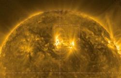 Un equipo de la NASA liderado por la India rastrea lo que calienta el “musgo” en el Sol | Noticias de tecnología