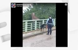 Un hombre renuncia a saltar desde lo alto de un puente en la A9 cuando ve a su perro