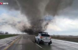 VIDEO – Estados Unidos: ¿qué es el “callejón de los tornados”, donde se desataron más de 300 tornados en un mes?
