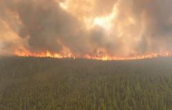 La calidad del aire en Quebec se verá alterada como nunca antes por los incendios forestales en 2023