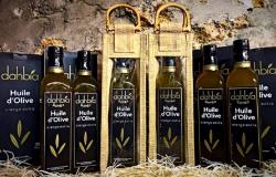 Lo producen las fincas Hakim Alilèche: el aceite de oliva Dahbia gana dos medallas de oro en Suiza y Dinamarca