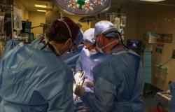 Muerte del primer paciente que recibió un trasplante de riñón de cerdo.