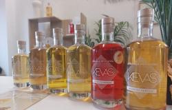 Sena y Marne: amantes de los rones mixtos, descubran la destilería Kevas por un día