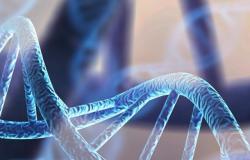 Distrofias musculares: la lista de genes identificados crece con el SNUPN