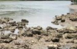 Se necesita acción urgente para el peligro en la desembocadura del río Godineau